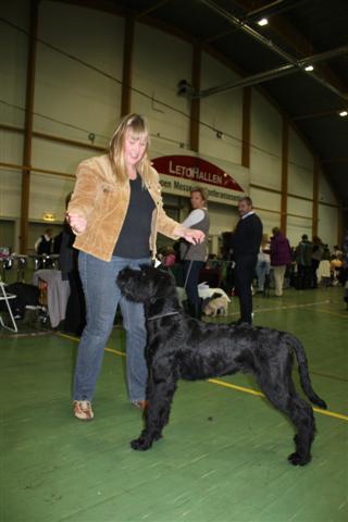 IMG_3542 (Small)
